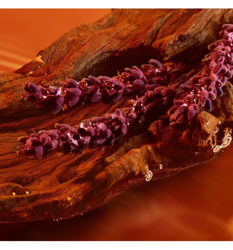 Armani Stronger With You Intensely | VANTÉ Premium Edition